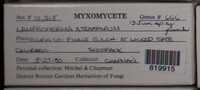 Image Associated With the Occurence